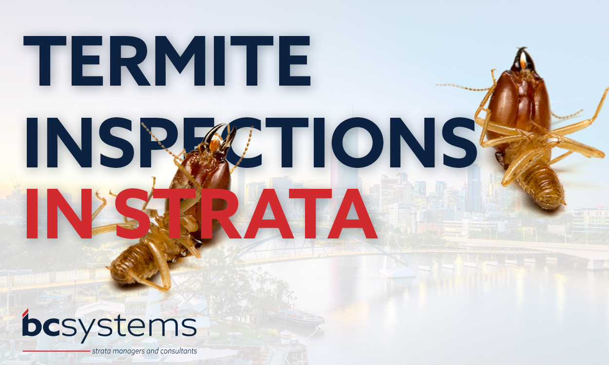 Termite inspections in strata