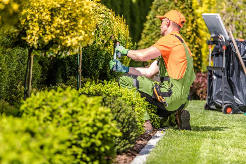 Landscaping in a body corporate