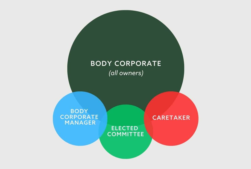 Hierarchy of the body corporate